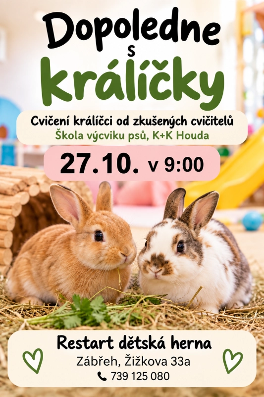 Obrázek eventu - Dopoledne s králíčky